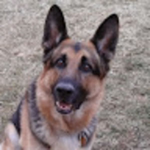 Meet your Posher, Cheryl